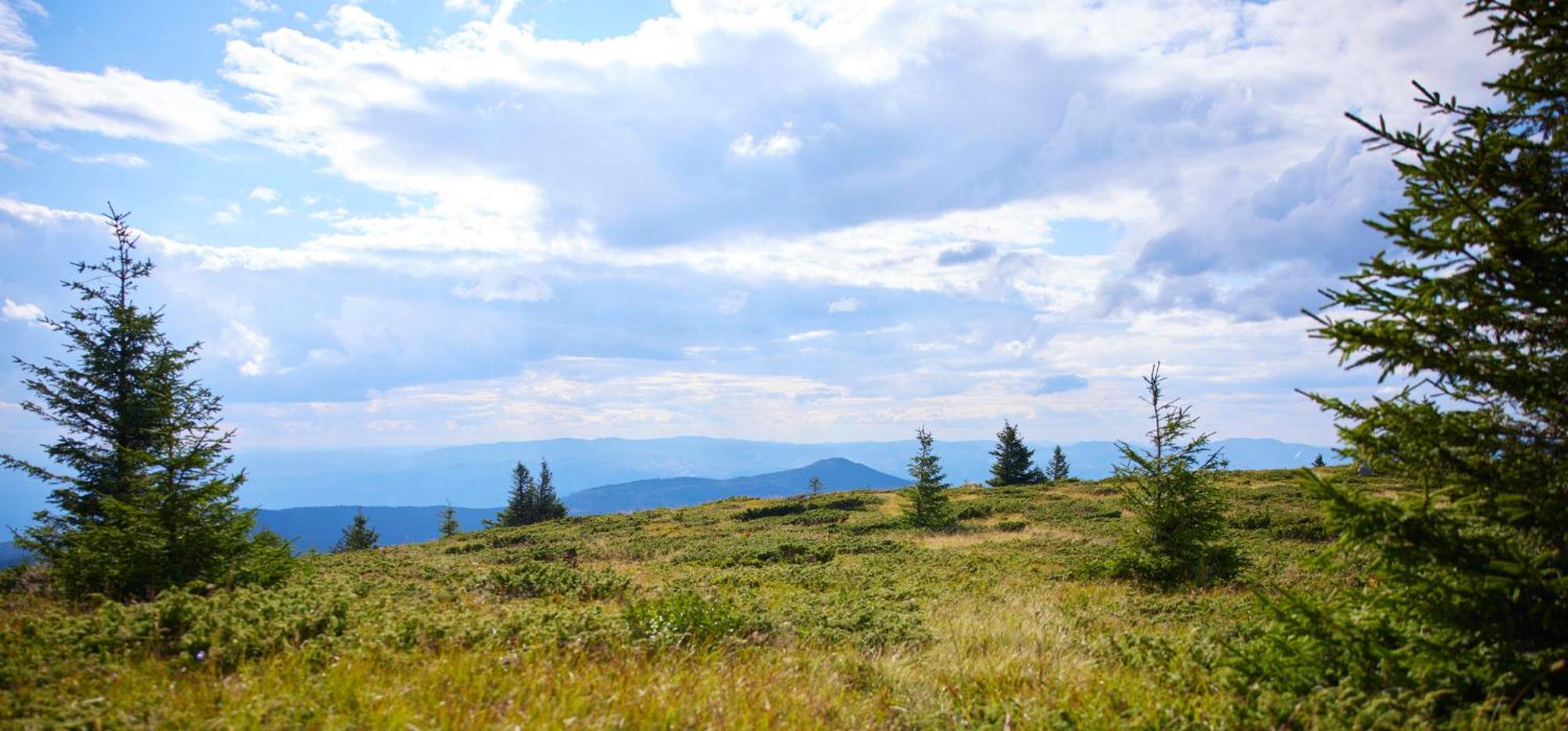 Viceroy Kopaonik Serbia Dış mekan fotoğraf View from the summit of Mount Rogers